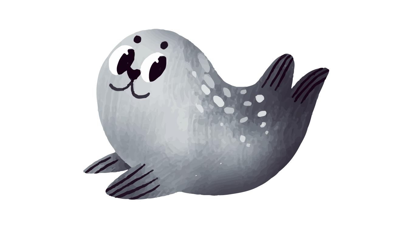 可爱的小海豹插画0