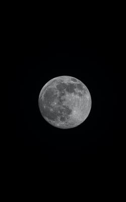 黑夜中的圆月图片素材,高清图片素材