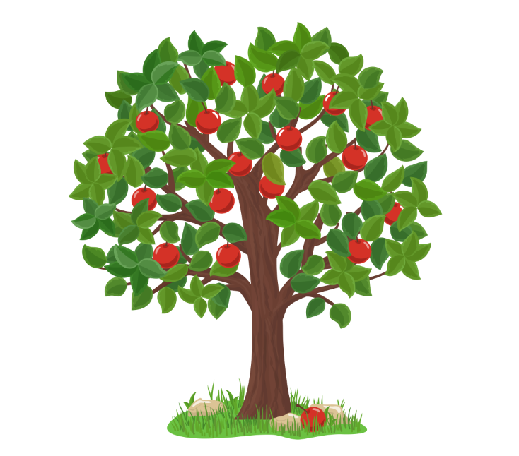 苹果树插画0