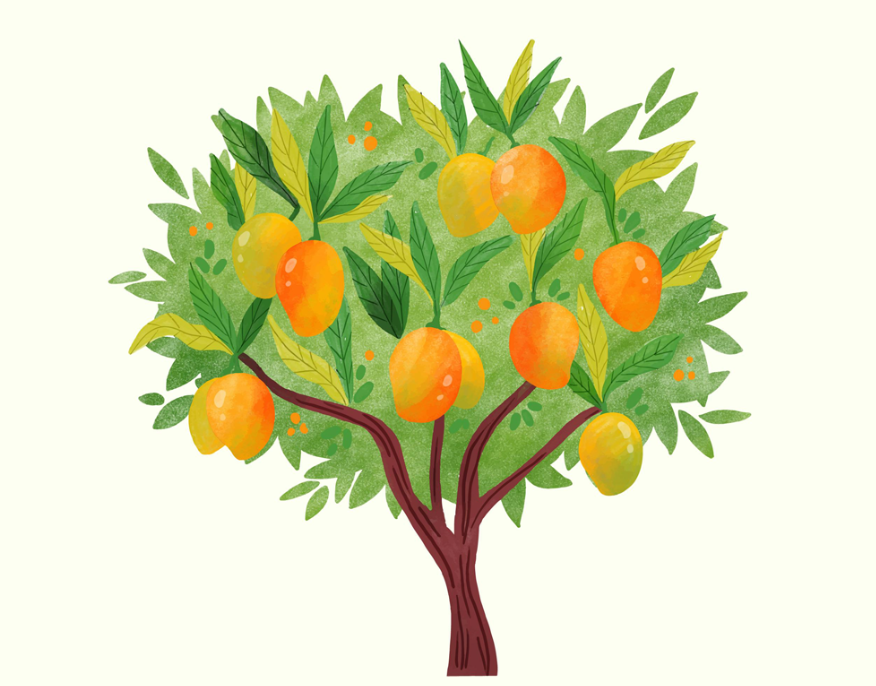 芒果树卡通插画0