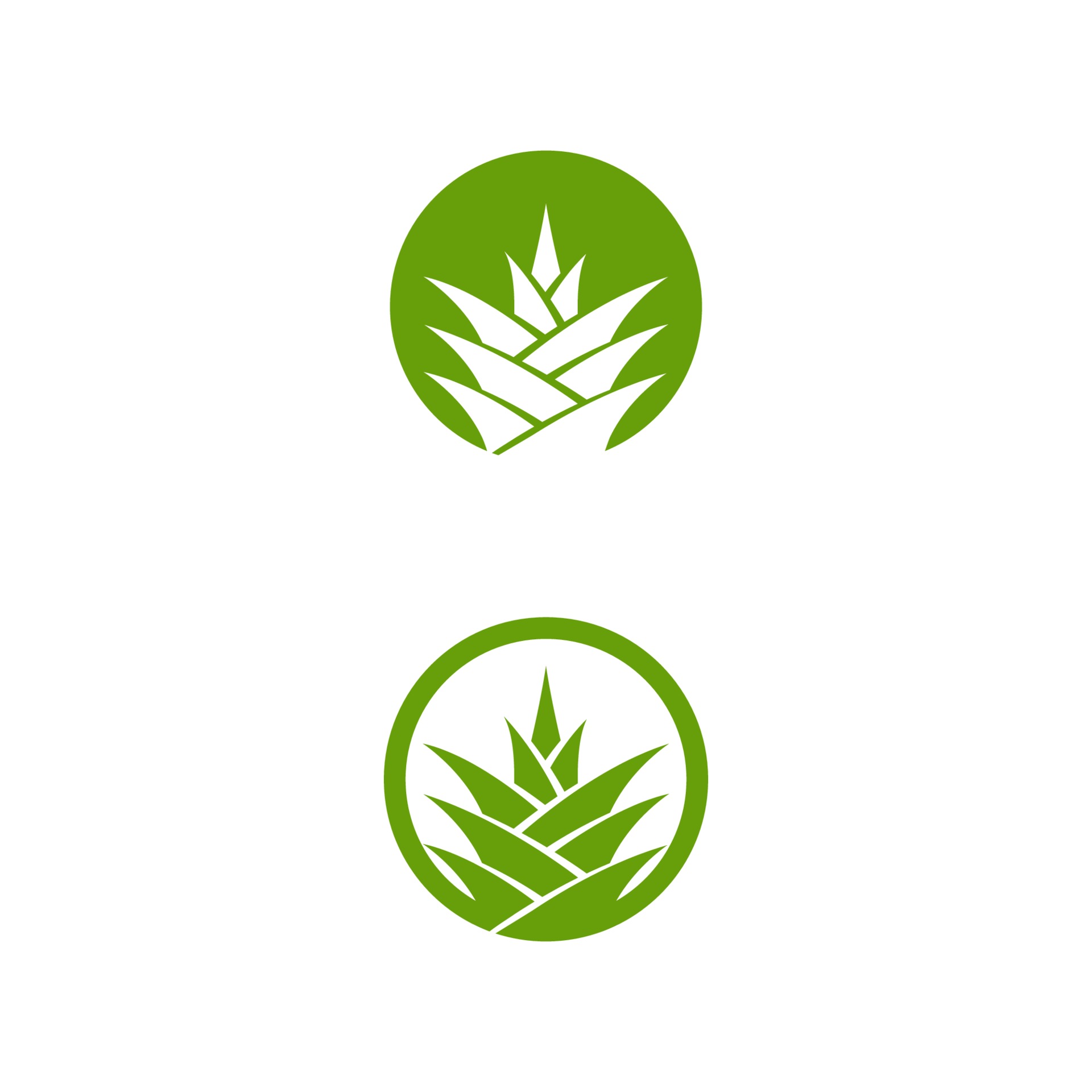 绿色菠萝头logo0