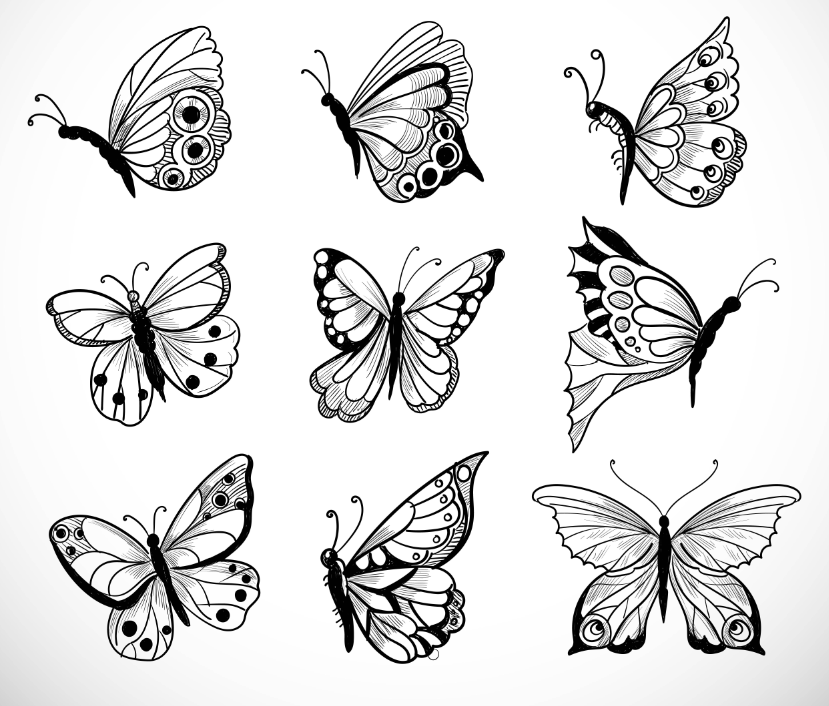 蝴蝶简笔画图标0
