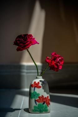花瓶里的两支玫瑰