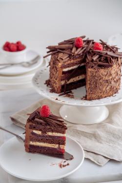 巧克力蛋糕上的树莓