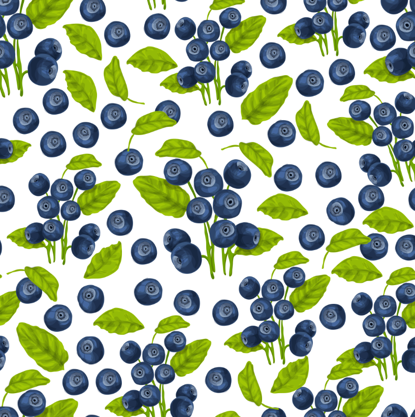 蓝莓背景插画0