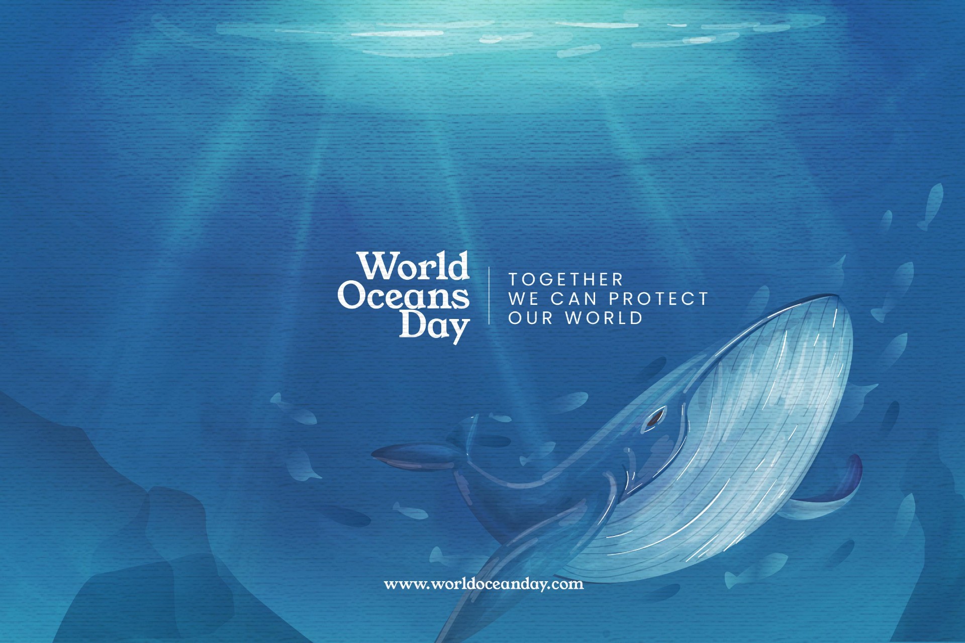 世界海洋日深海的鲸插图0