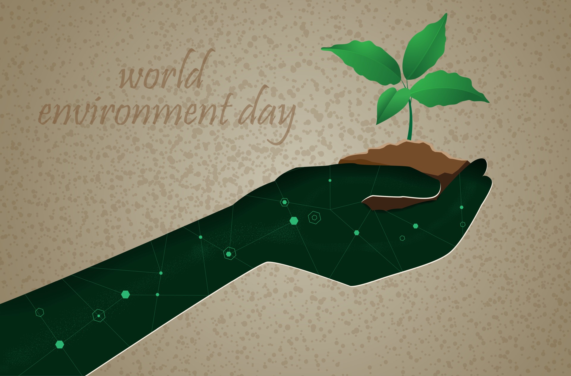 世界环境日手心的树苗插图0