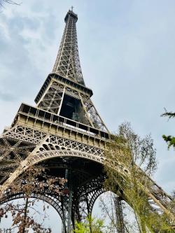 巴黎铁塔下的植物