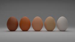 五个不同颜色的鸡蛋