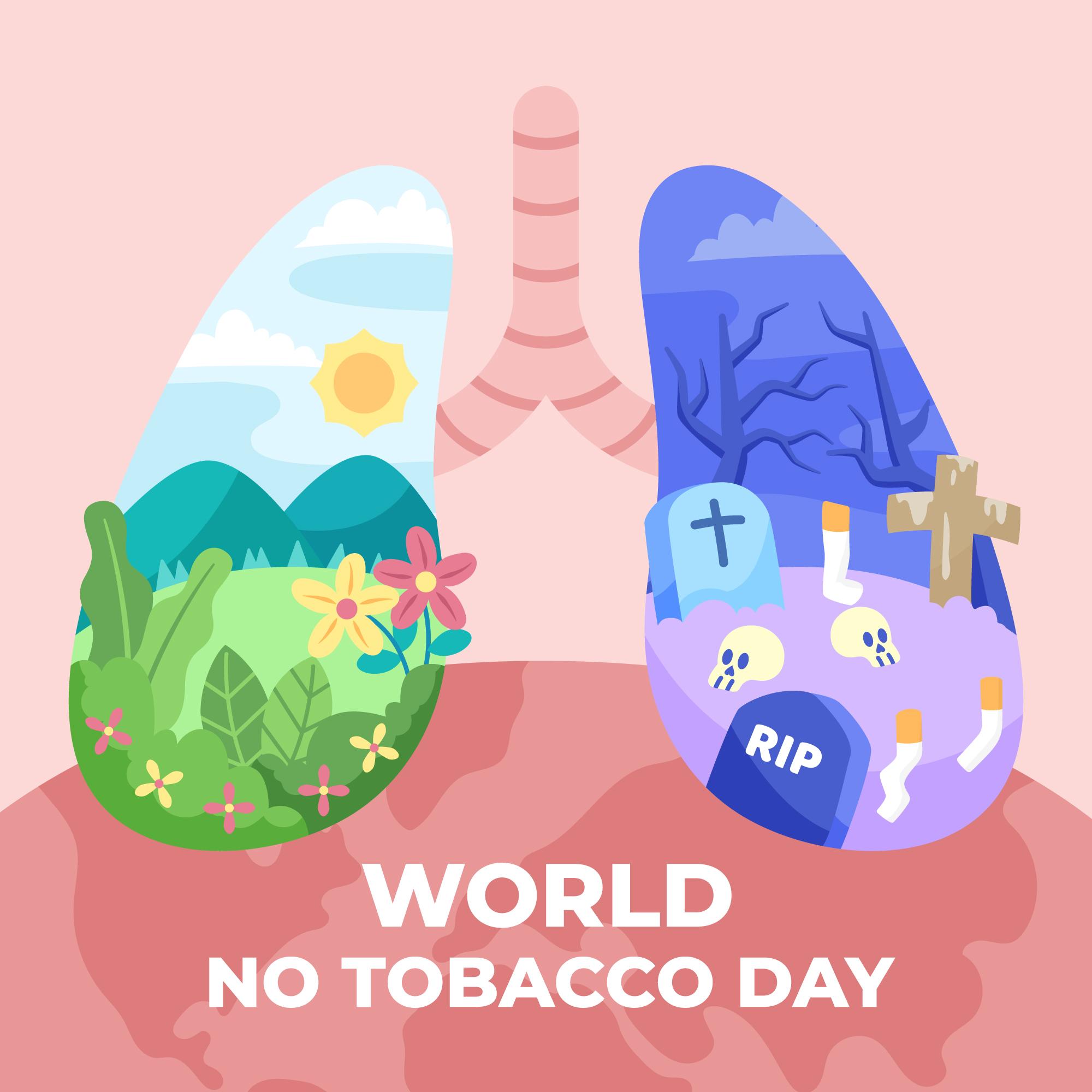 世界无烟日烟草对肺的危害插图0