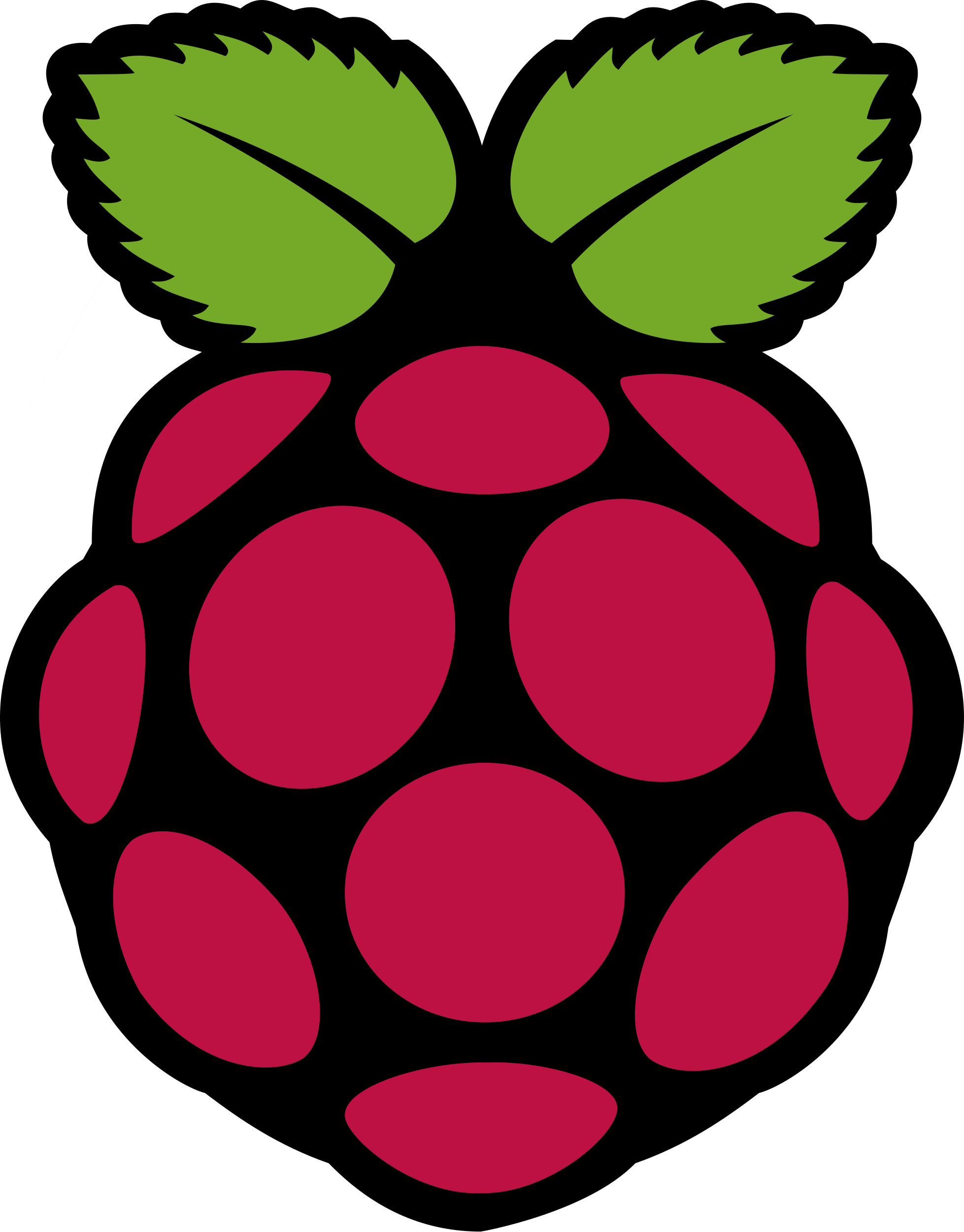 树莓派logo0