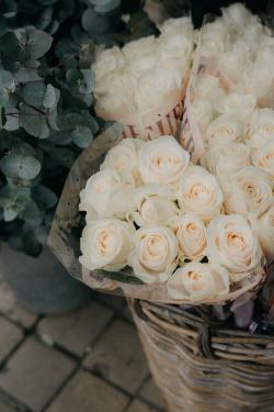 篮子里的白玫瑰花束图片素材,高清图片素材