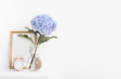闹钟和花瓶里的绣球花图片素材,高清图片素材