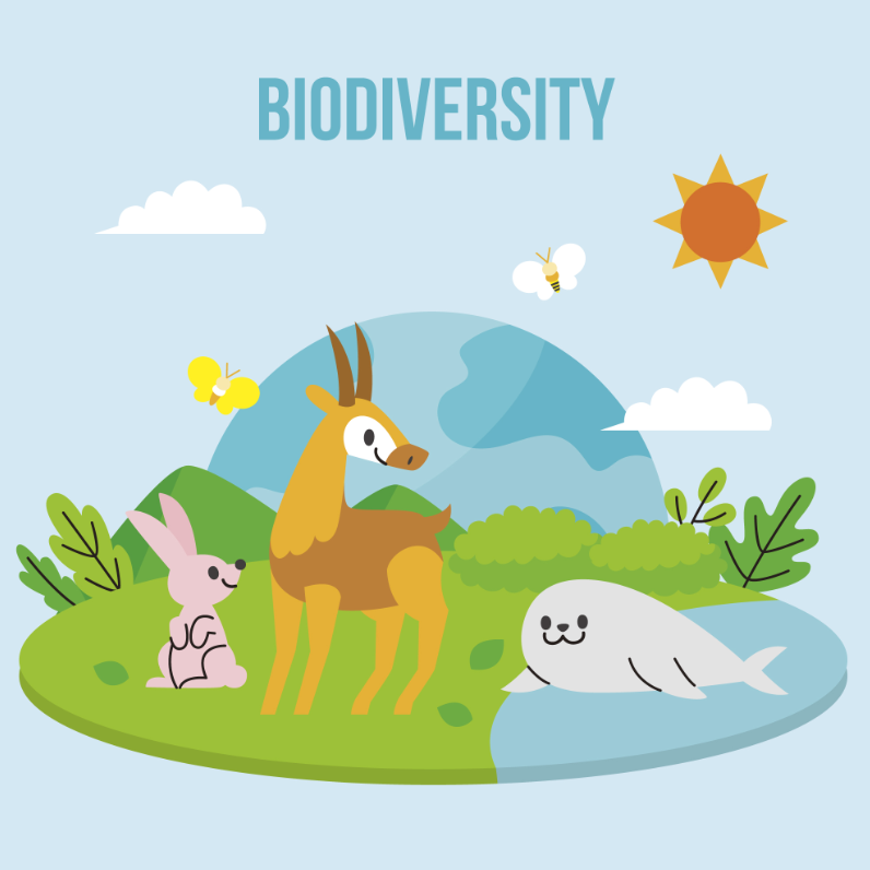 保护生物多样性插画0