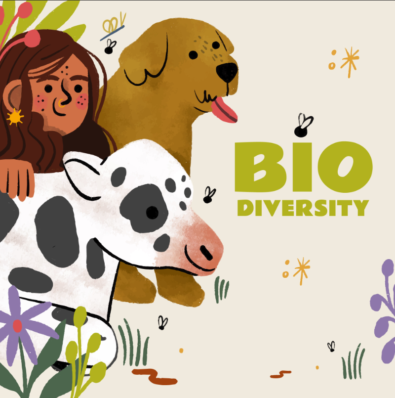 生物多样性彩绘插画0