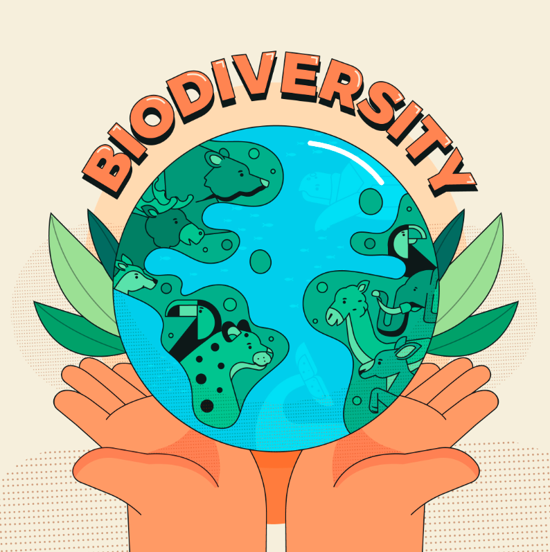 国际生物多样性日保护地球插画0