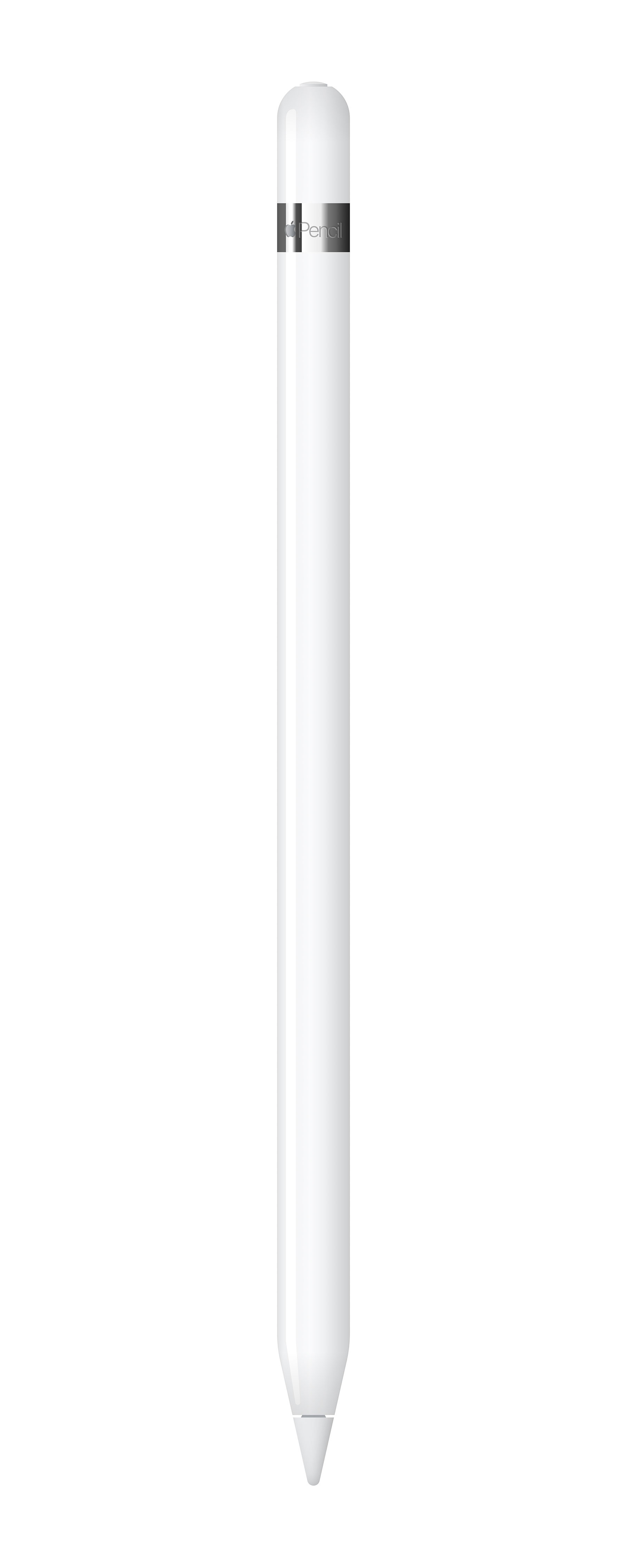 Apple Pencil 模型1