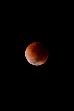 黑夜中的橙色月球图片素材,高清图片素材
