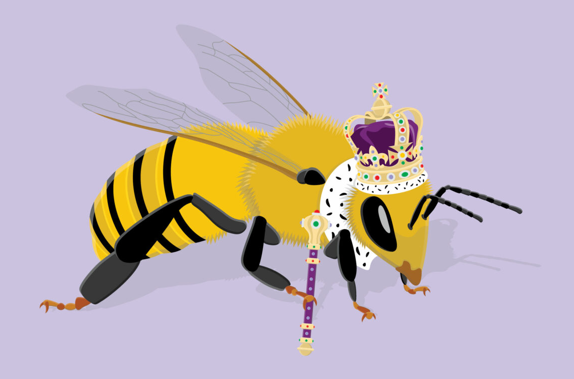 蜜蜂王后插画0