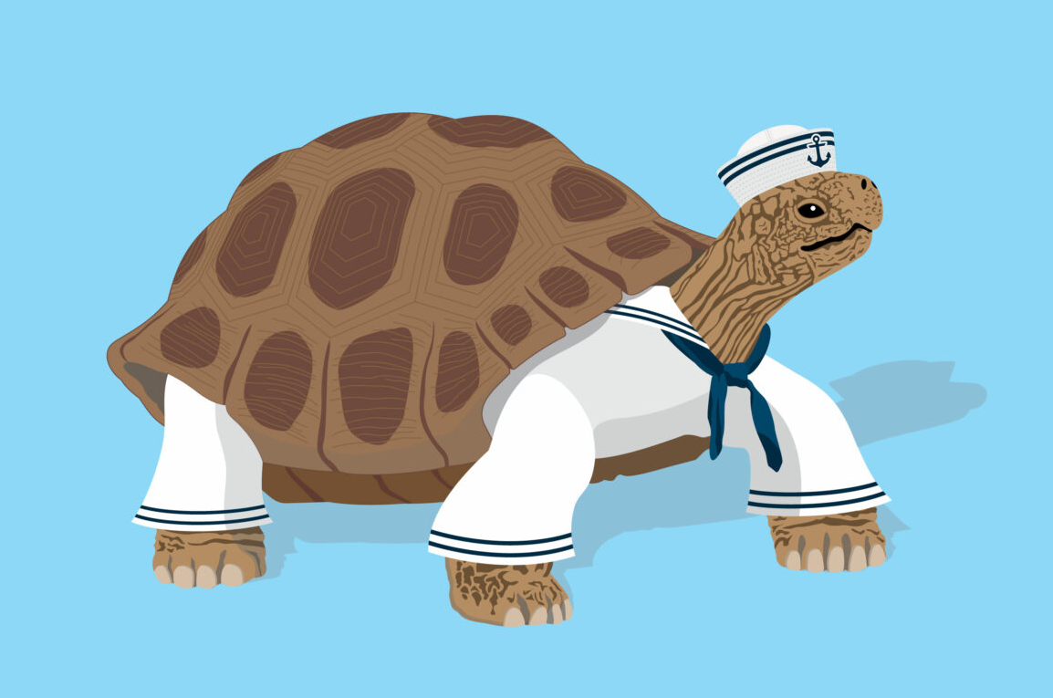 海龟先生插画0