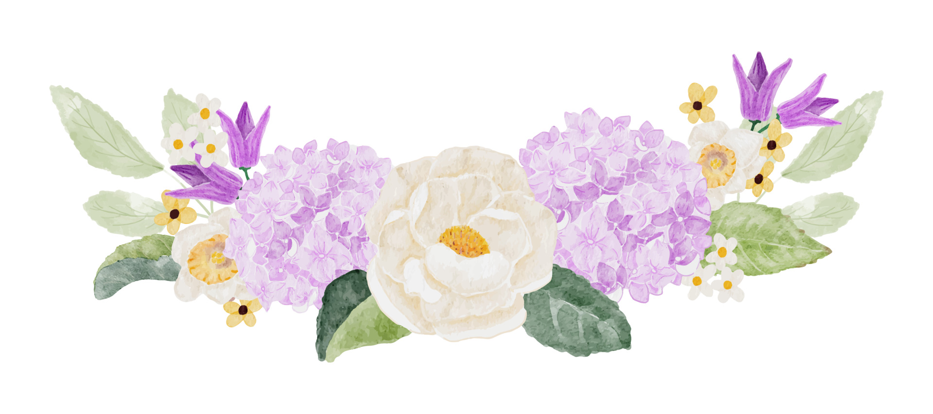 绣球花与白玫瑰插图0