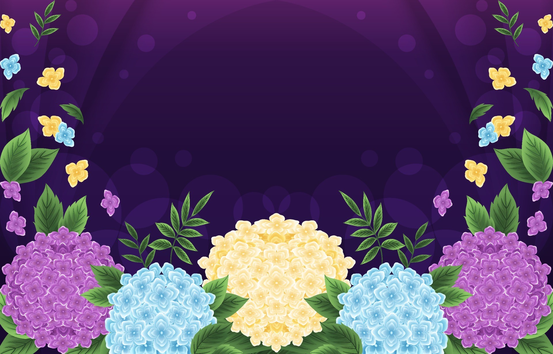 绣球花与紫色背景插图0