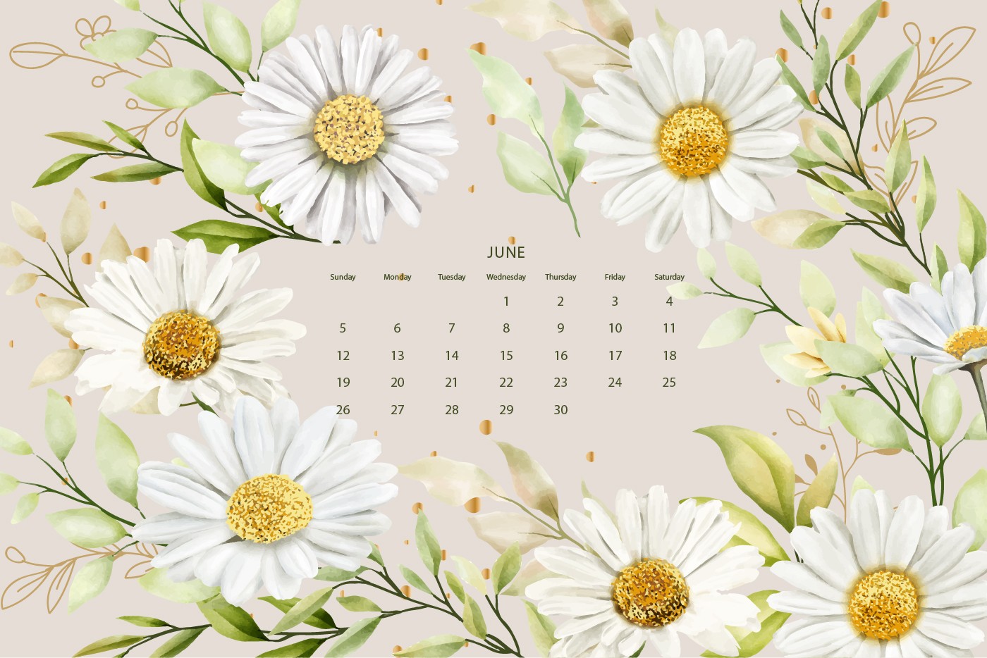 2022年6月小雏菊花朵日历桌面0