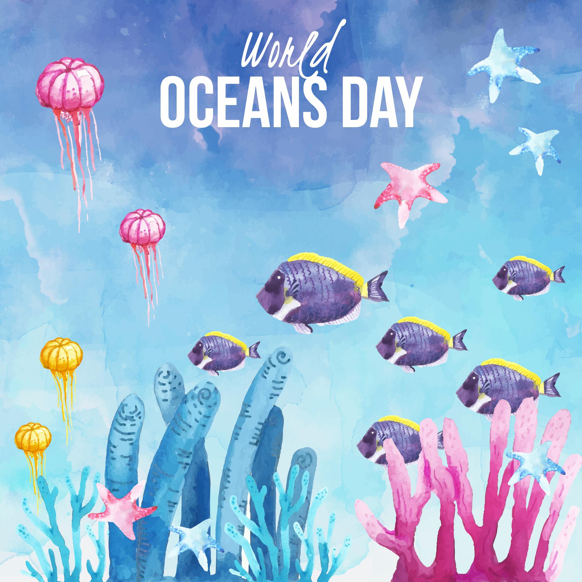 世界海洋日海底景色插图0