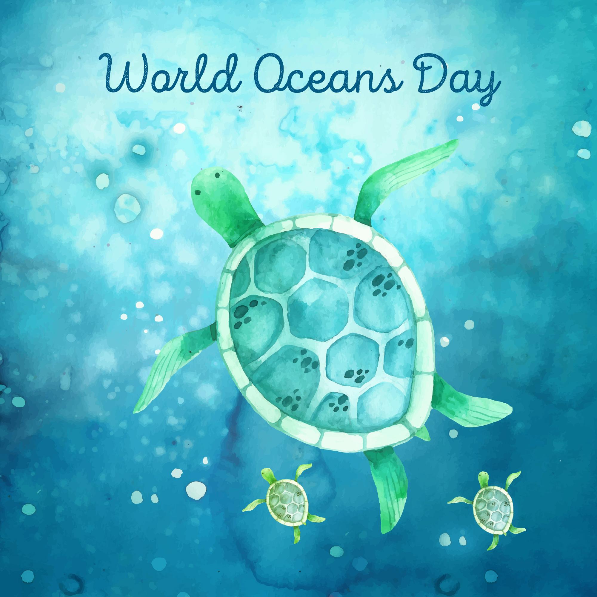 世界海洋日海龟背景插图0