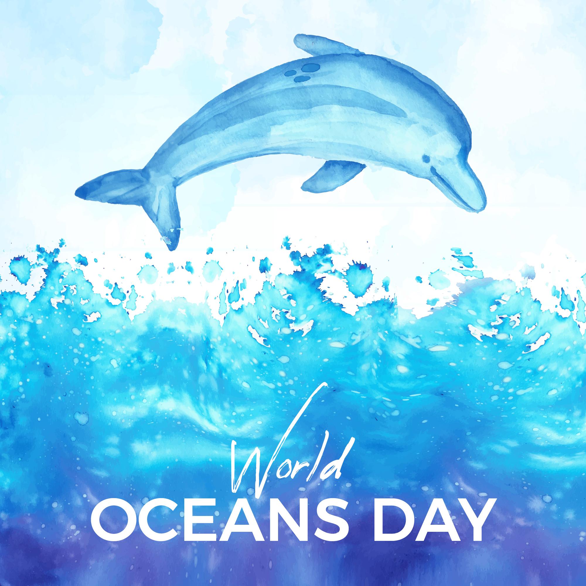 世界海洋日海豚插图0