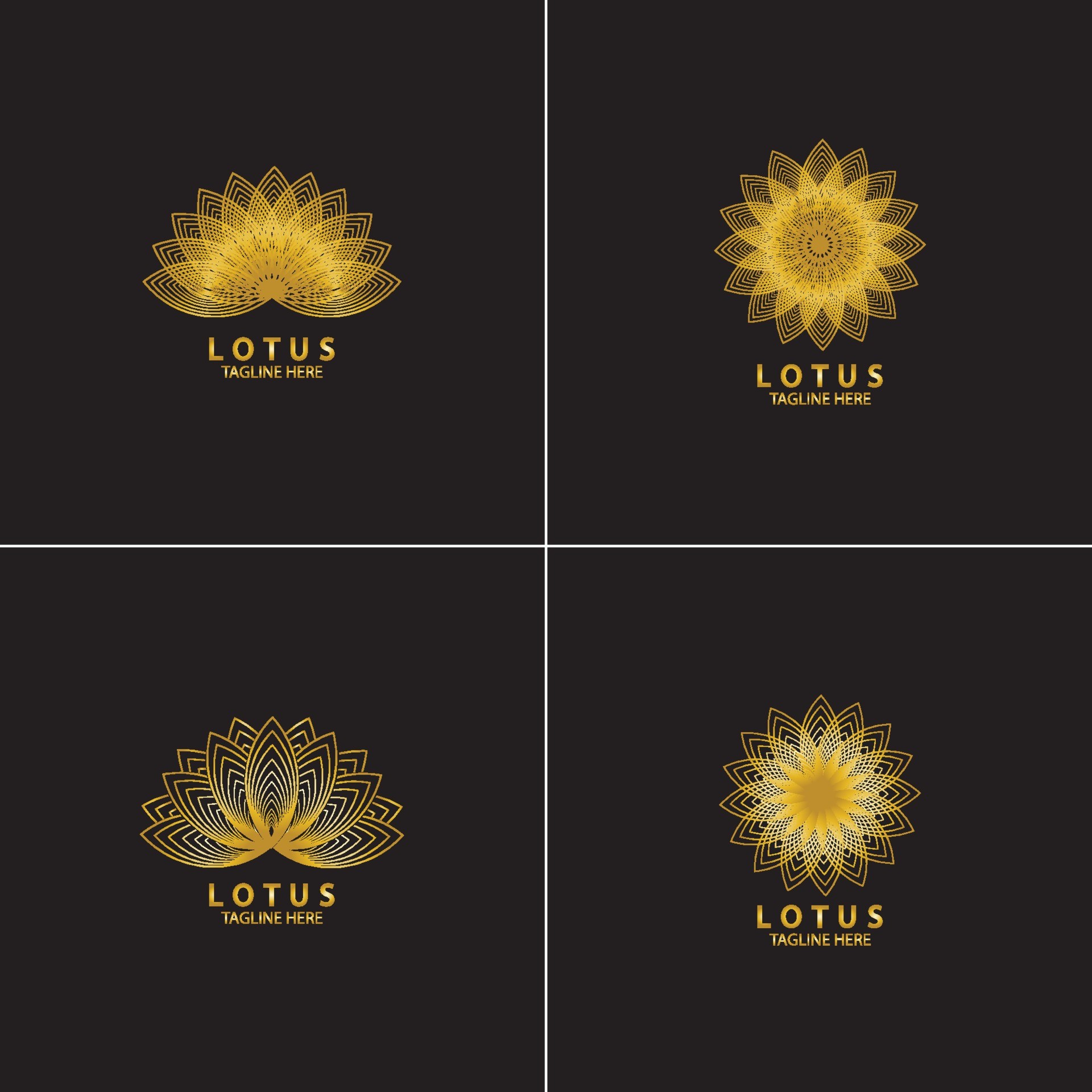 金色莲花标志logo0