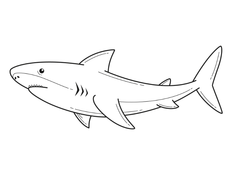 鲨鱼卡通简笔画0
