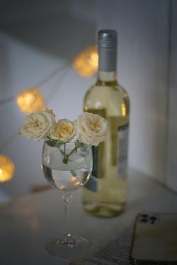 高脚杯里的玫瑰与酒