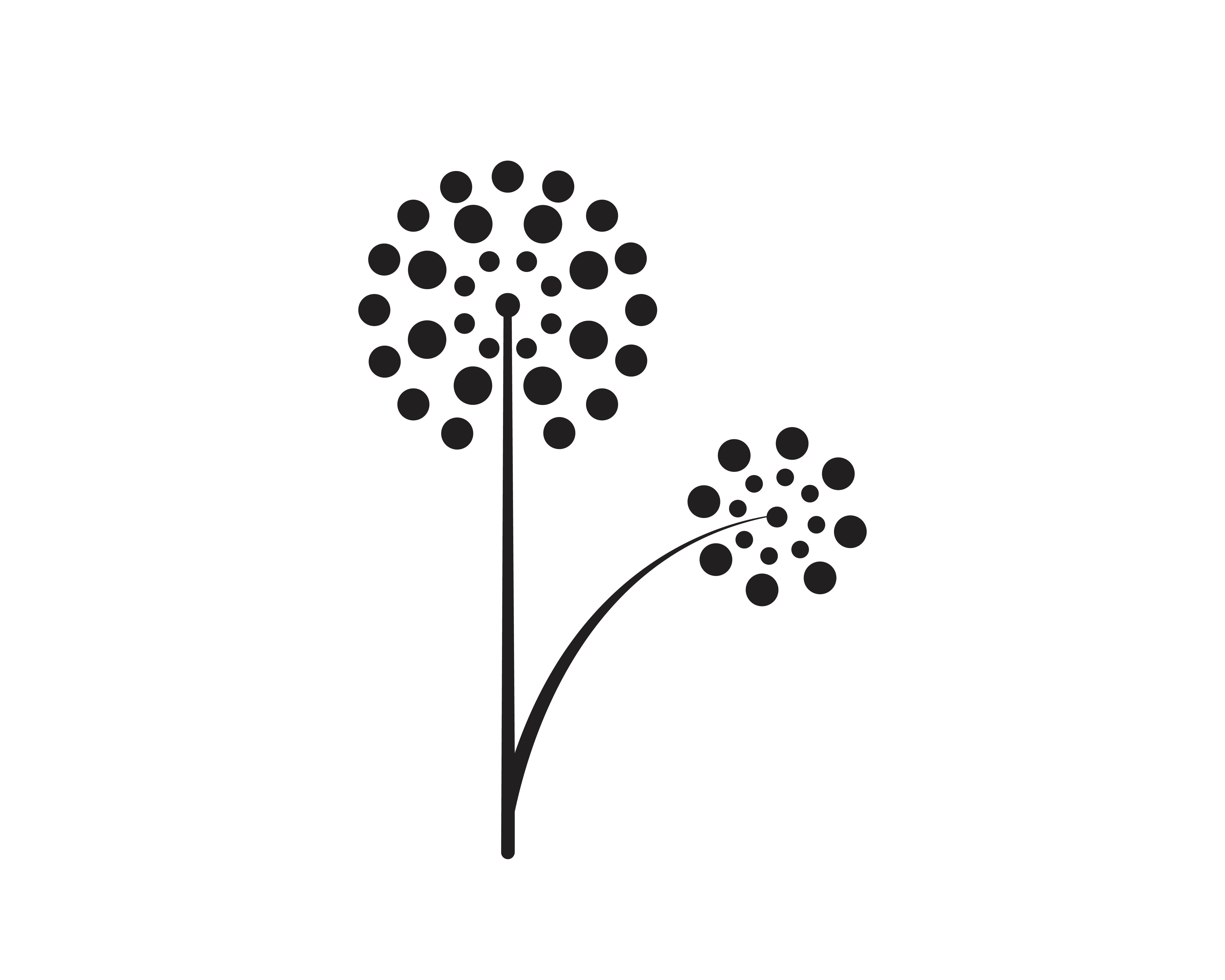 黑色蒲公英花标志logo0