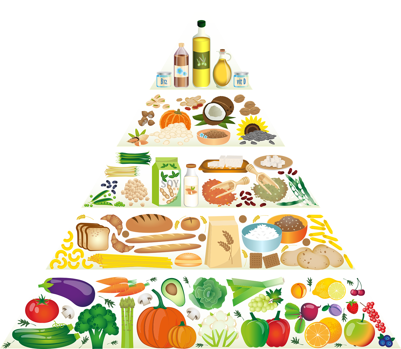 素食金字塔图片0