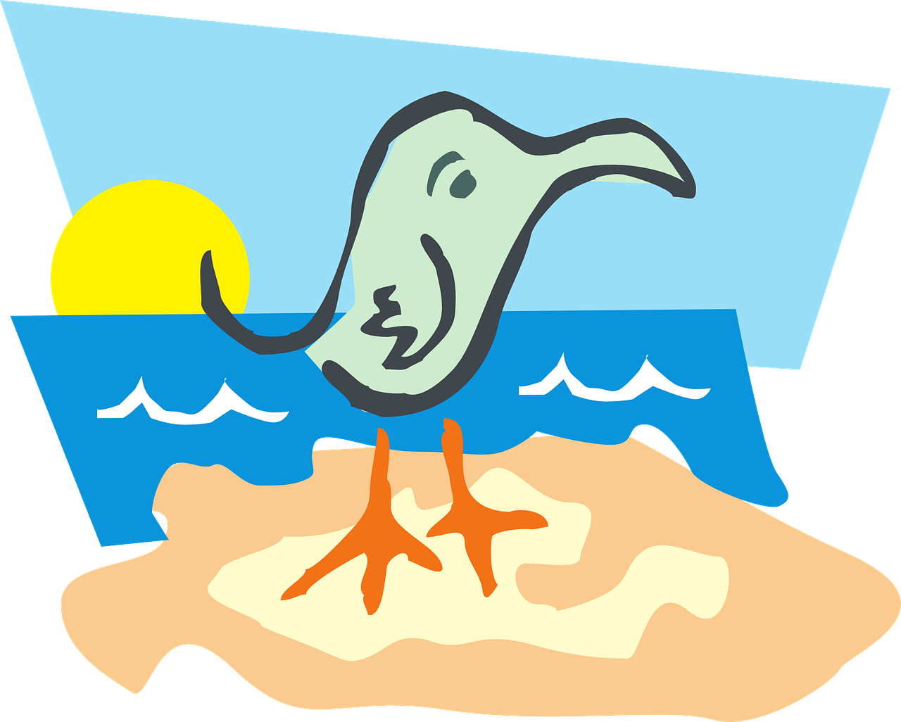 沙滩上的海鸥插图0