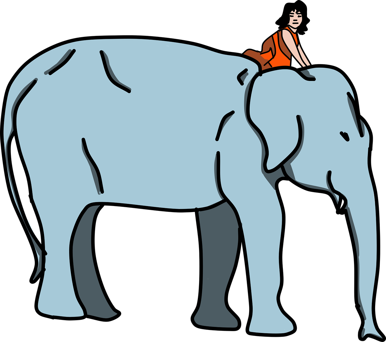 女孩骑大象背上插图0