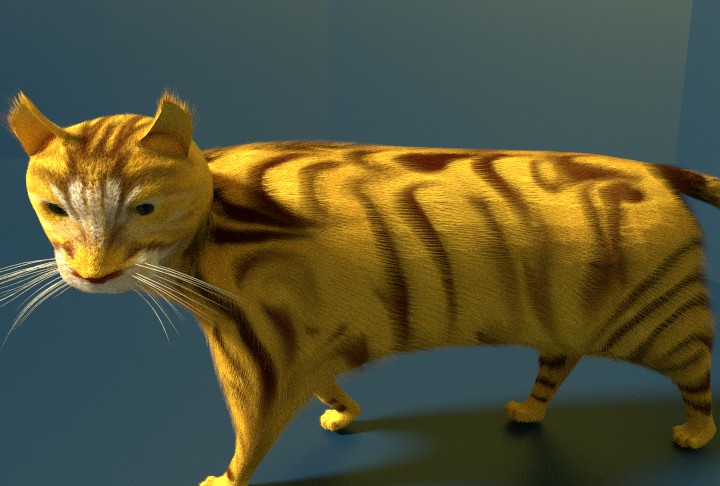 猫咪模型2