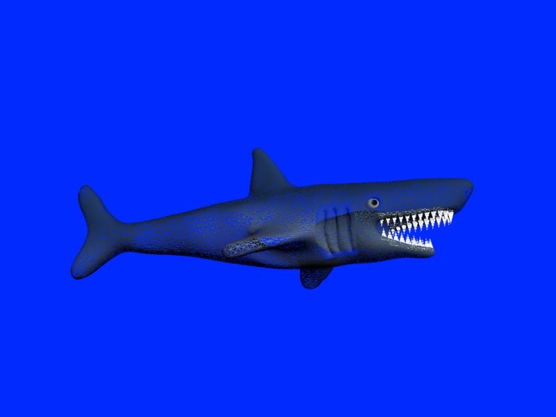 3d鲨鱼模型1