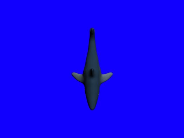 3d鲨鱼模型3