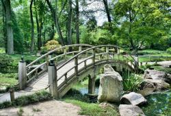 公园小道的独木桥