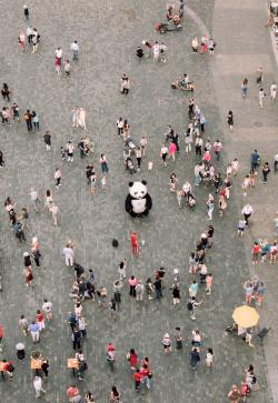 人群中的大熊猫玩偶图片素材,高清图片素材