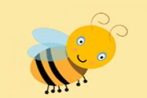 CorelDraw卡通蜜蜂绘制教程和操作实例