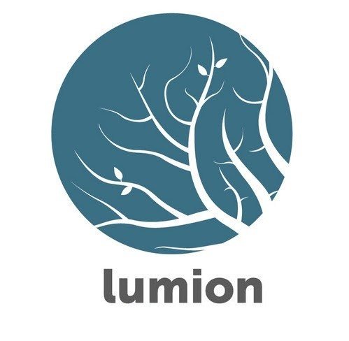 Lumion