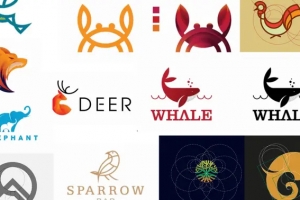 Illustrator logo设计教程：运用黄金比例设计鸟元素标志