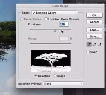 Photoshop利用色彩范围抠出大树操作实例