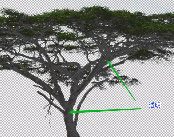 Photoshop利用色彩范围抠出大树操作实例