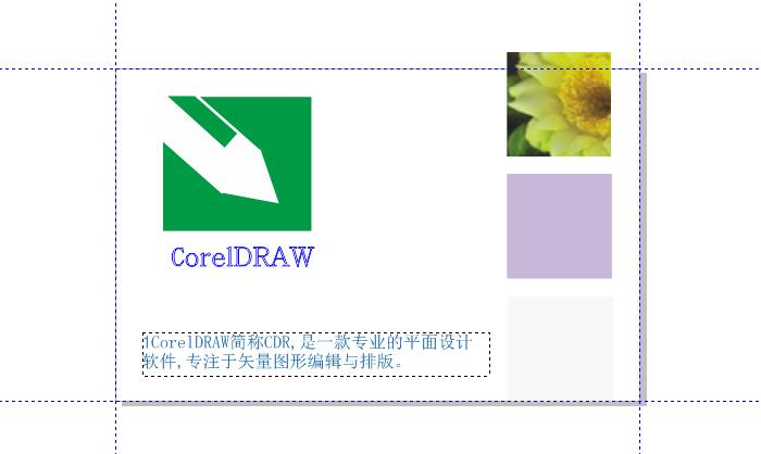 CorelDRAW模板绘制名片教程