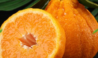 丑橘和粑粑柑有什么区别